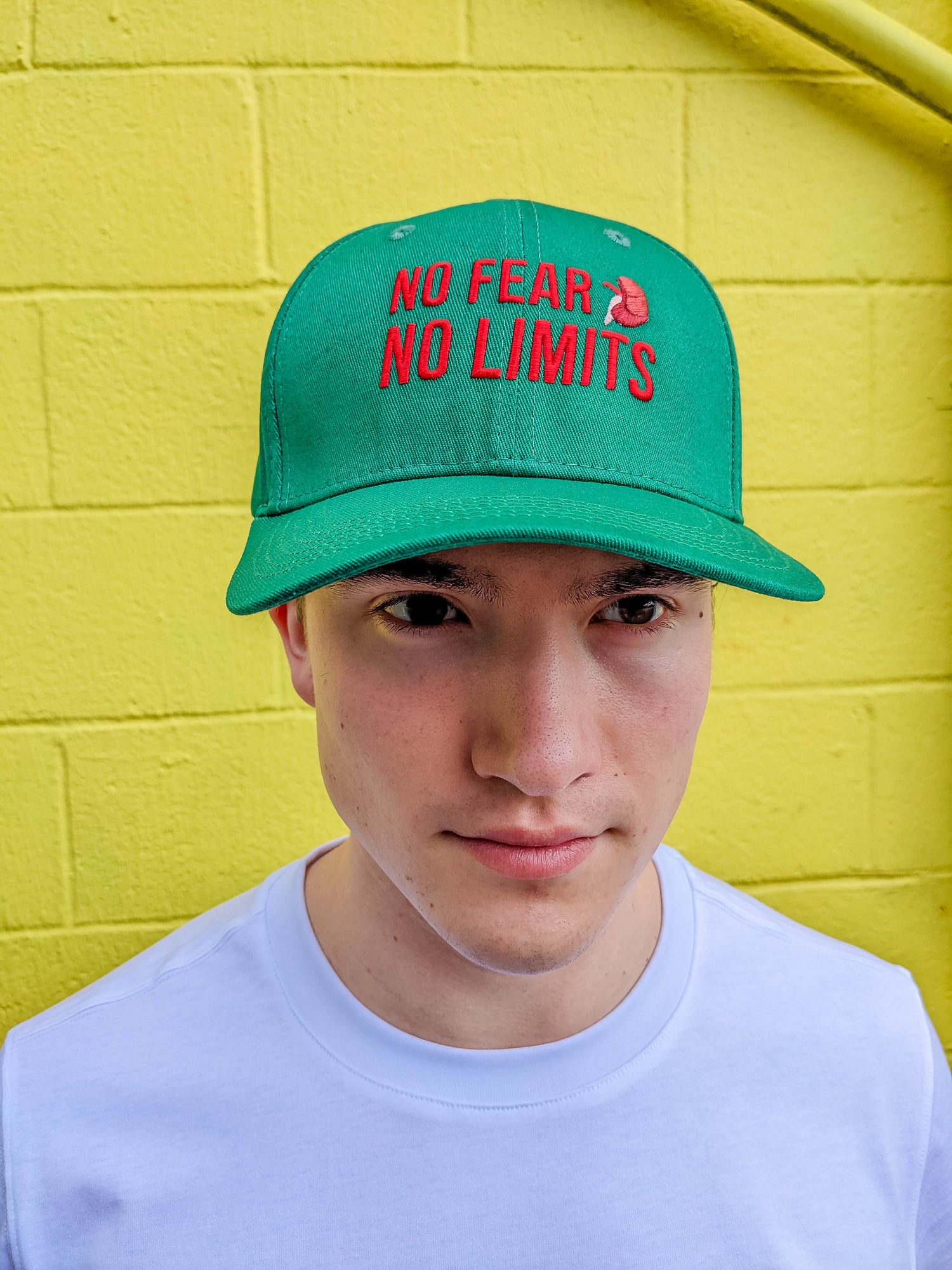 Dialysis Warrior Baseball Cap