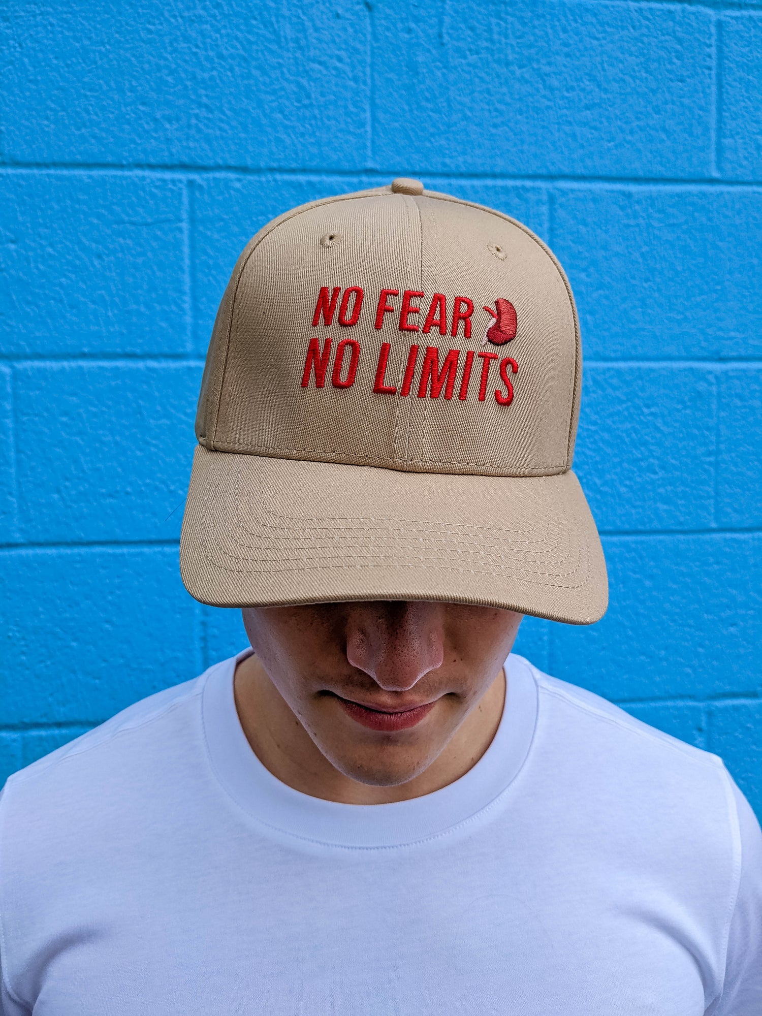 Dialysis Warrior Baseball Cap