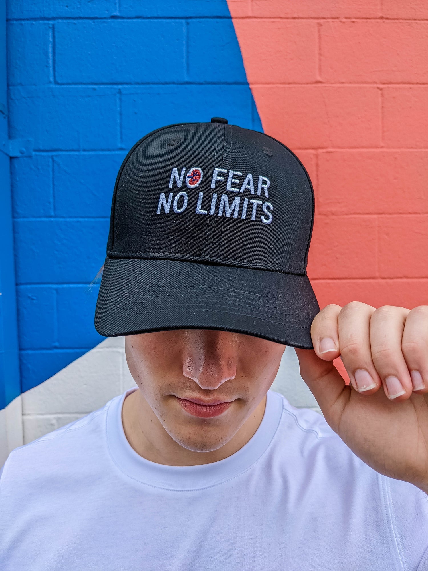 Dialysis Warrior Baseball Cap