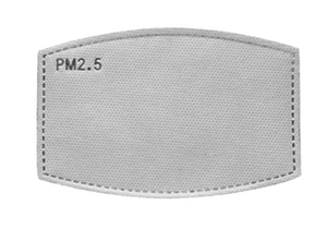 5 Layer PM2.5 Filters with Activated Carbon - 5 Pieces